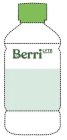 BERRI LYTE